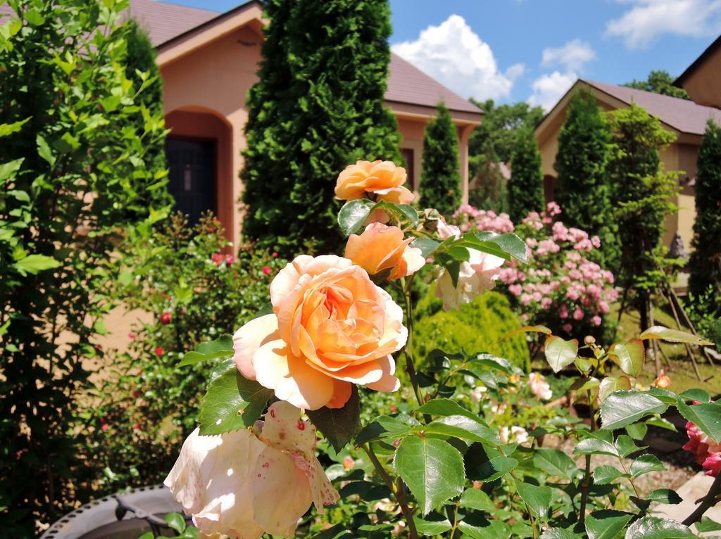 Aromatic Garden Villa La Poltrona Naszu Kültér fotó