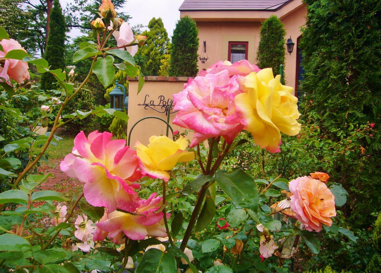 Aromatic Garden Villa La Poltrona Naszu Kültér fotó
