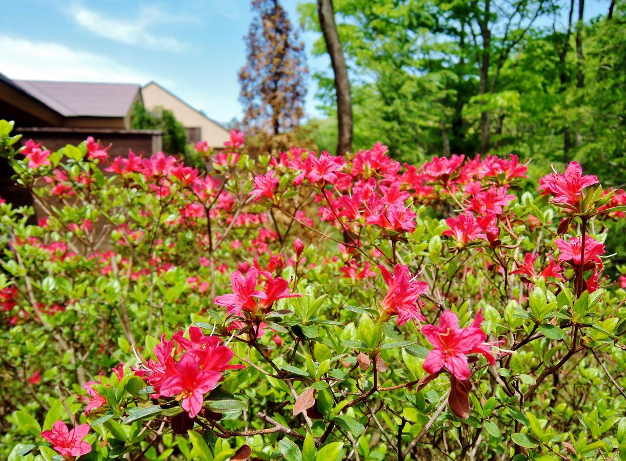 Aromatic Garden Villa La Poltrona Naszu Kültér fotó
