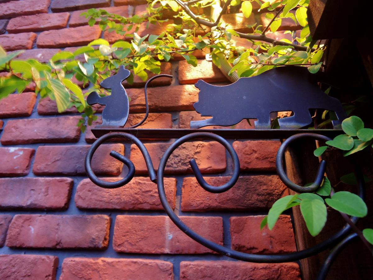 Aromatic Garden Villa La Poltrona Naszu Kültér fotó