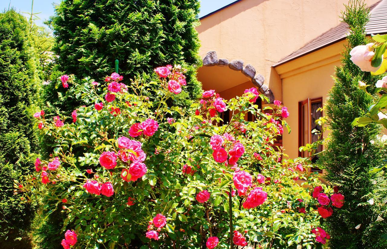 Aromatic Garden Villa La Poltrona Naszu Kültér fotó