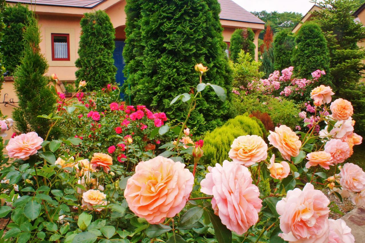 Aromatic Garden Villa La Poltrona Naszu Kültér fotó